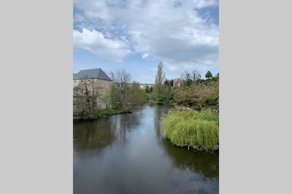 Long Meadow Gite France Asnieres-sur-Blour Buitenkant foto